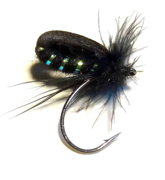 Black Narova Black Narova