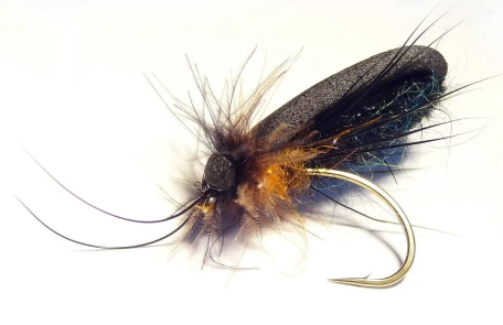 Caddis style Narova Caddis style Narova