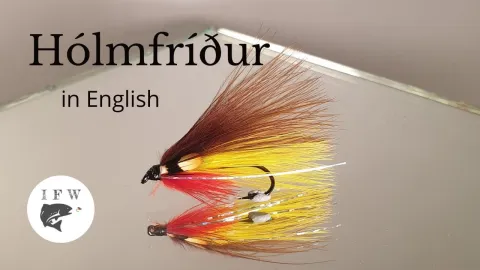 Video thumb for Hólmfríður