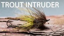Video thumb for Trout Spey Intruder
