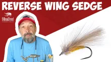 Video thumb for Reverse Wing Sedge
