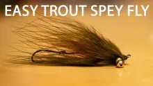 Video thumb for Super Simple Trout Spey Fly