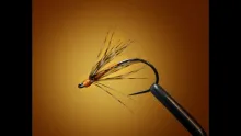 Video thumb for Partridge & Orange Soft Hackle