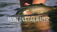 Video thumb for Montana Tailwater