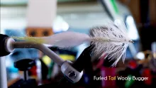 Video thumb for Furled Tail Wooly Bugger